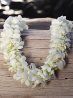 double white orchid lei